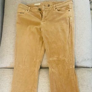 Kurt from the Kloth - Farrah Baby Bootcut Corduroy Pants - Size 14